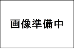 画像は準備中