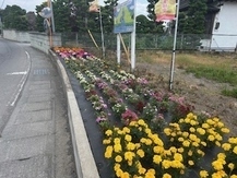 花いっぱい運動