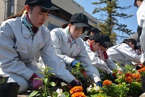 平賀駅前で花の植栽