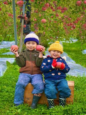 りんごの木の下で